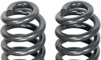 Dorman 929-945 Coil Spring - Front - view 2