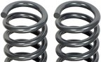 Dorman 929-954 Coil Spring - Front - view 2
