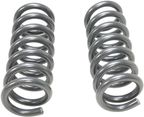 Dorman 929-958 Coil Spring - Front - view 2