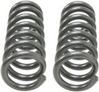 Dorman 929-963 Coil Spring - Front - view 2