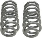 Dorman 929-968 Coil Spring - Rear - view 3