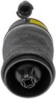 Dorman 949-260 Air Suspension Spring - Rear Left or Rear Right - view 3
