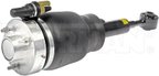 Dorman 949-273 Air Suspension Strut - Front Left or Front Right - view 2