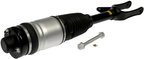 Dorman 949-368 Air Suspension Strut - Front Left - view 2