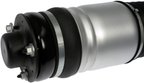 Dorman 949-369 Air Suspension Strut - Front Right - view 5