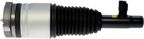 Dorman 949-464 Air Suspension Strut - Front Left - view 1