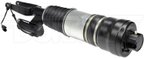 Dorman 949-600 Air Suspension Strut - Front Right - view 4