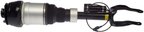 Dorman 949-849 Air Suspension Strut - Front Right - view 1