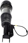 Dorman 949-851 Air Suspension Strut - Front Right - view 6
