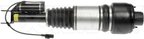 Dorman 949-851 Air Suspension Strut - Front Right - view 5