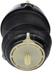 Dorman 949-874 Air Suspension Spring - Rear Left or Rear Right - view 3