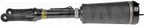 Dorman 949-954 Air Suspension Strut - Front Left or Front Right - view 6