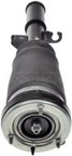 Dorman 949-965 Air Suspension Strut - Front Left - view 1