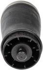 Dorman 949-995 Air Suspension Spring - Rear Left - view 3