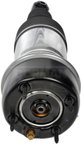 Dorman 949-997 Air Suspension Strut - Rear Left or Rear Right - view 1