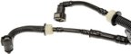 Dorman 994-041 Vapor Canister Purge Valve - view 5