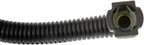 Dorman 994-073 Vapor Canister Purge Valve - view 6