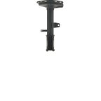 PRT Performance Ride 470414 Suspension Strut - Rear Left - view 3