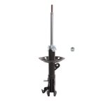 PRT Performance Ride 473919 Suspension Strut - Front Right - view 1
