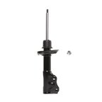 PRT Performance Ride 474968 Suspension Strut - Front Left - view 5