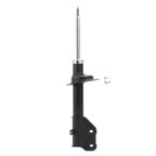 PRT Performance Ride 476387 Suspension Strut - Front Left - view 5