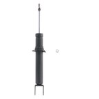 PRT Performance Ride 490461 Suspension Strut - Rear - view 1