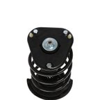 PRT Performance Ride 818671 Suspension Strut and Coil Spring Assembly - Front - view 3