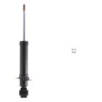 PRT Performance Ride 930532 Suspension Strut - Rear - view 4