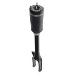 PRT Performance Ride 990034 Air Suspension Strut - Front - view 2