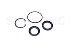 Sunsong 8401481 Steering Gear Pitman Shaft Seal Kit - Lower - view 1