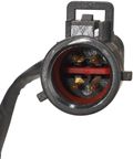 Spectra SP2387M Fuel Pump Module Assembly - view 4