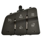Standard Ignition CCA1319 Cruise Control Switch - view 1