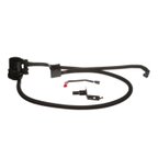 Standard Ignition CP516 Vapor Canister Vent Solenoid - view 1