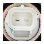 Standard Ignition CVS50 Vapor Canister Vent Solenoid - view 3