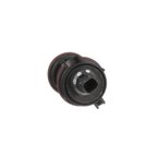 Standard Ignition CVS96 Vapor Canister Vent Solenoid - view 3