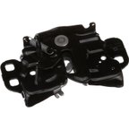 Standard Ignition DLA1549 Hood Latch Assembly - view 5