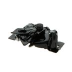 Standard Ignition DLA2029 Hood Latch Assembly - view 2