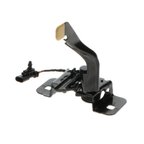 Standard Ignition DLA2217 Hood Latch Assembly - view 2
