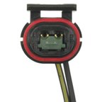 Handy Pack HP4675 License Plate Light Connector - view 3