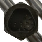 Standard Ignition IPL3 Fuel Feed Line - view 5
