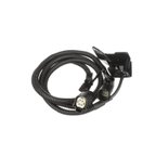 Standard Ignition PAC113 Park Assist Camera - Rear - view 5