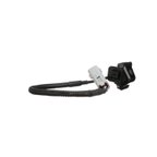 Standard Ignition PAC174 Park Assist Camera - view 2