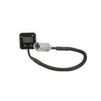 Standard Ignition PAC174 Park Assist Camera - view 7