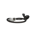 Standard Ignition PAC181 Park Assist Camera - view 2