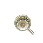 Standard Ignition PR217 Fuel Injection Pressure Regulator - view 5