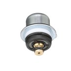 Standard Ignition PR401 Fuel Injection Pressure Regulator - view 5
