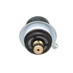 Standard Ignition PR401 Fuel Injection Pressure Regulator - view 6