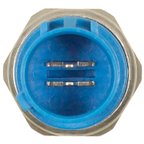 Standard Ignition PS-464 Engine Variable Valve Timing (VVT) Oil Pressure Switch - view 3