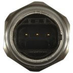 Standard Ignition PS-481 Engine Variable Valve Timing (VVT) Oil Pressure Sensor - view 3