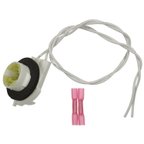 Standard Ignition S-1022 Daytime Running Light Socket - view 1